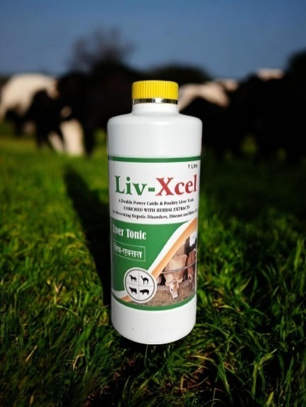 LIV-XCEL