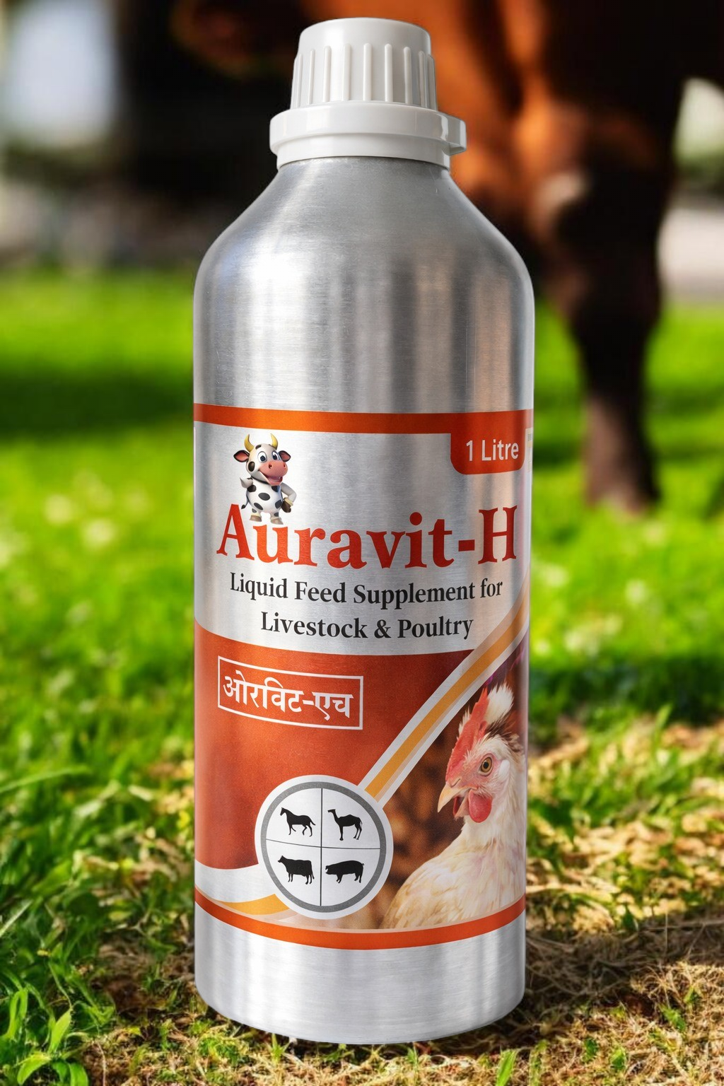 AURAVIT-H